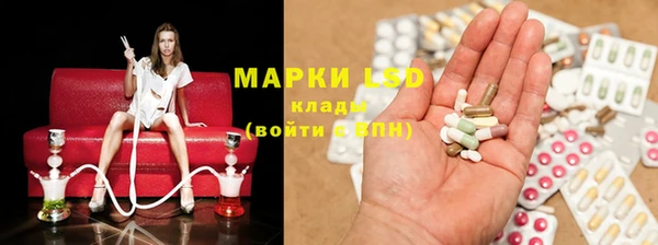 ПСИЛОЦИБИНОВЫЕ ГРИБЫ Алзамай