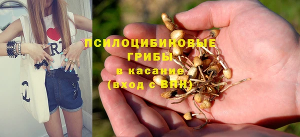 ПСИЛОЦИБИНОВЫЕ ГРИБЫ Алзамай